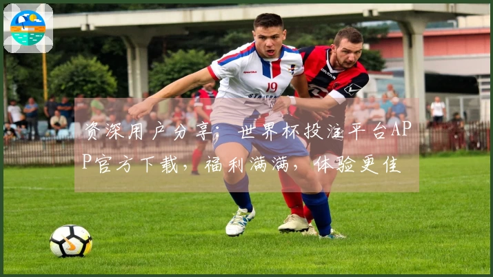 资深用户分享：世界杯投注平台APP官方下载，福利满满，体验更佳