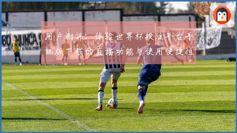 用户测评：体验世界杯投注平台手机版下载的直播功能与使用便捷性