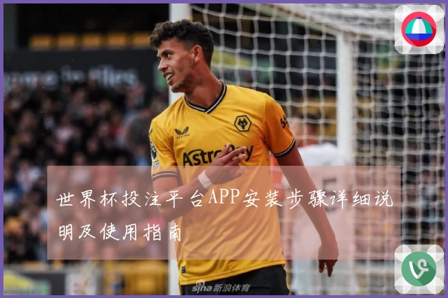 世界杯投注平台APP安装步骤详细说明及使用指南