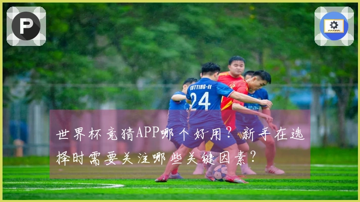 世界杯竞猜APP哪个好用?新手在选择时需要关注哪些关键因素?