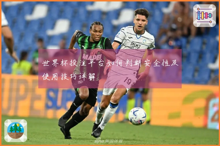 世界杯投注平台如何判断安全性及使用技巧详解