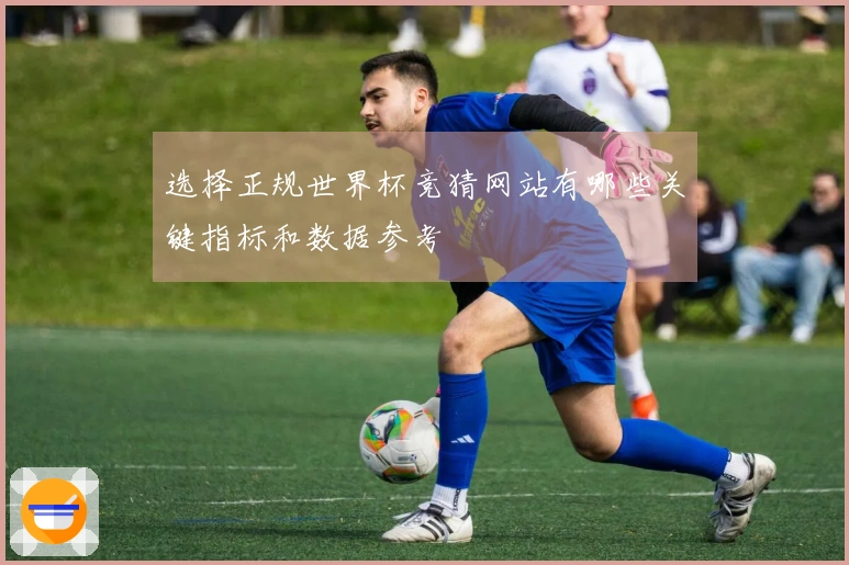 选择正规世界杯竞猜网站有哪些关键指标和数据参考