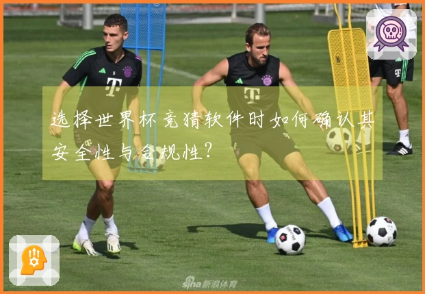 选择世界杯竞猜软件时如何确认其安全性与合规性？