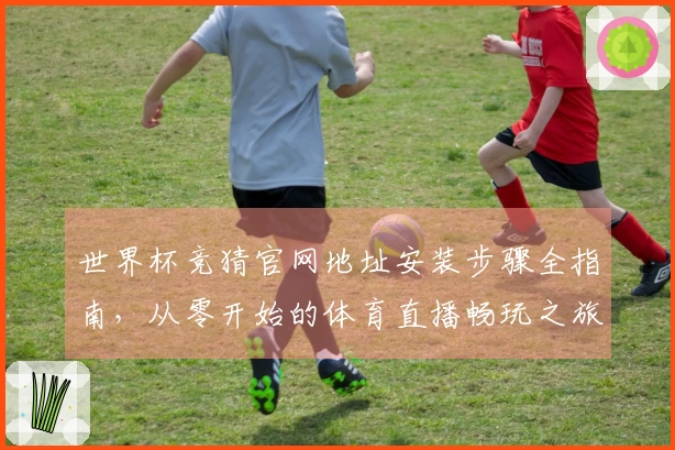 世界杯竞猜官网地址安装步骤全指南，从零开始的体育直播畅玩之旅