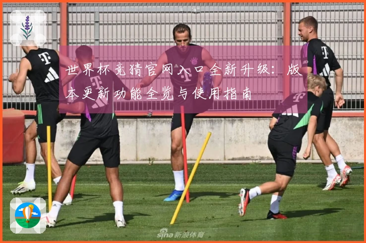 世界杯竞猜官网入口全新升级：版本更新功能全览与使用指南