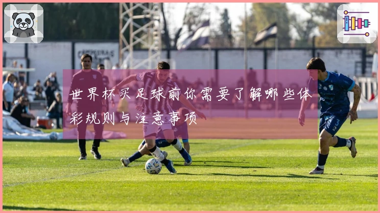 世界杯买足球前你需要了解哪些体彩规则与注意事项