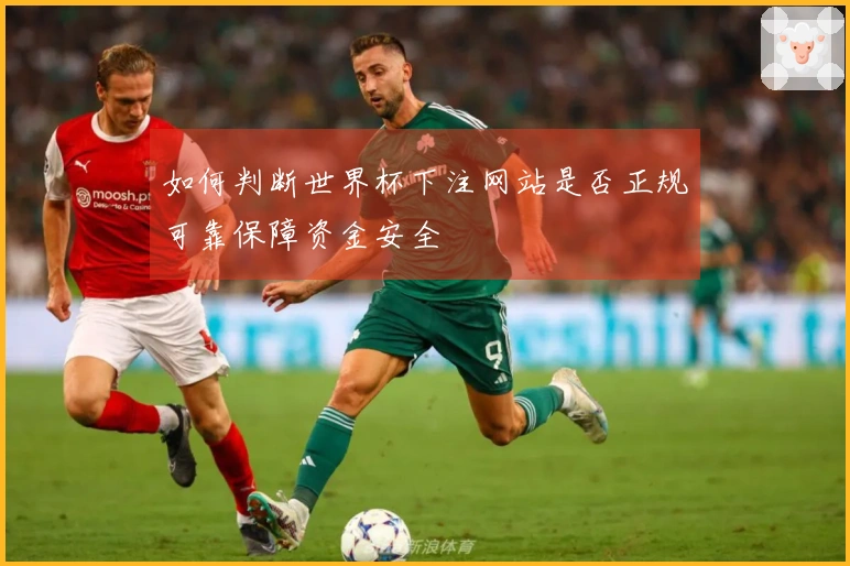 如何判断世界杯下注网站是否正规可靠保障资金安全