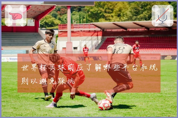 世界杯买球前应了解哪些平台和规则以避免踩坑