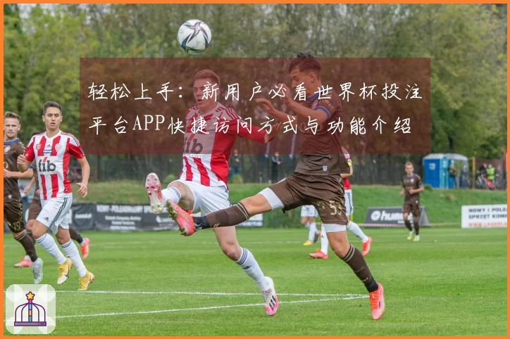 轻松上手：新用户必看世界杯投注平台APP快捷访问方式与功能介绍