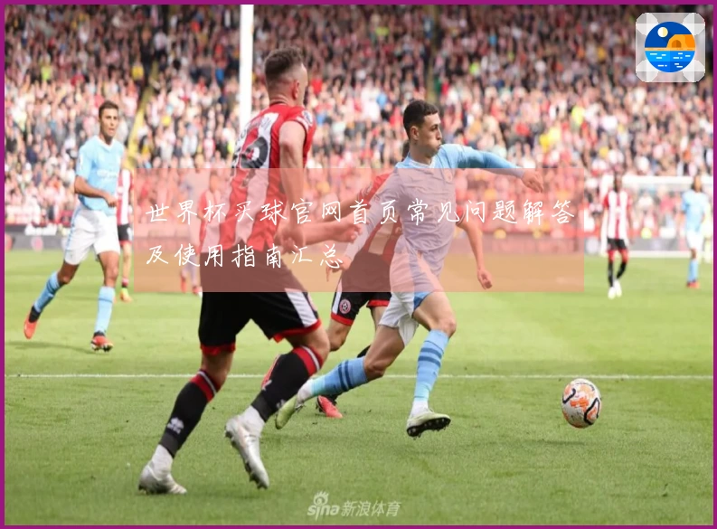 世界杯买球官网首页常见问题解答及使用指南汇总